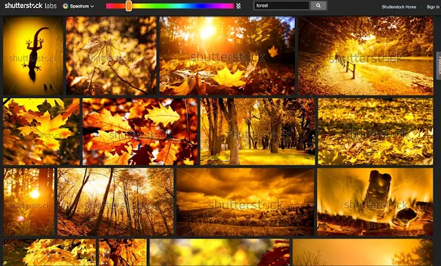 Lấy mã màu từ ảnh online