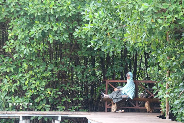 hutan mangrove