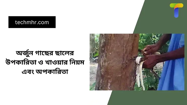 অর্জুন গাছের ছালের উপকারিতা ও খাওয়ার নিয়ম এবং অপকারিতা