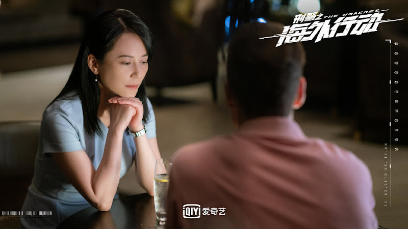 The Dragnet China Web Drama