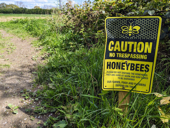 Caution, no trespassing, honeybees at work