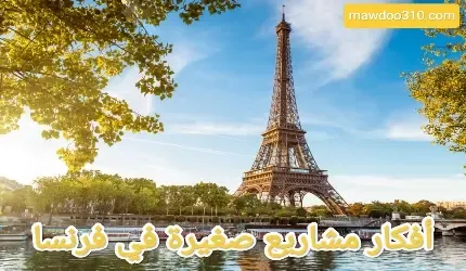 افكار مشاريع صغيرة في فرنسا