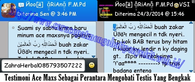 Testimoni Testis Bengkak