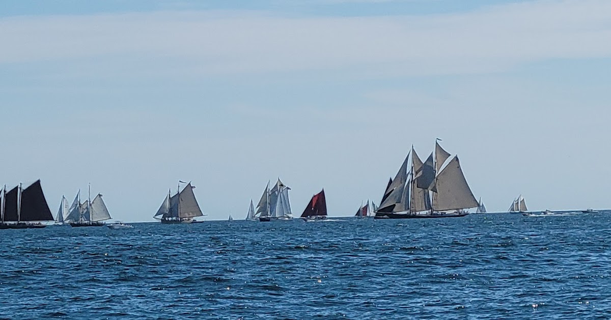 Tarr Talk Schooner Festival