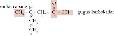 asam 3-metil-pentanoat