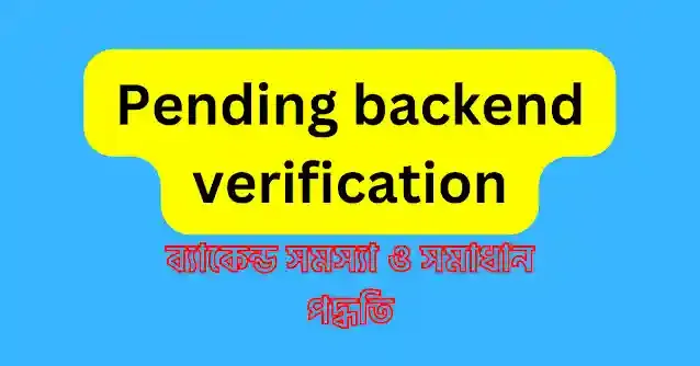 Pending Backend Verification