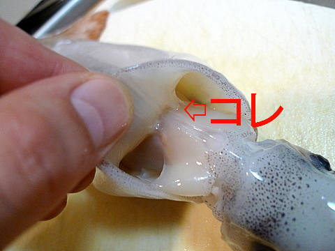 おっさんひとり飯 旧サイト 死ぬほどうまい 焼きイカのわたダレ掛け