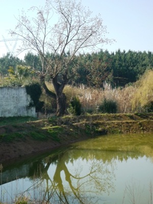P1000333