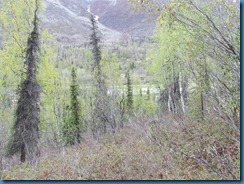 Alaska 6 3 12 Grand View 008