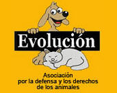http://www.evolucion.org.es/can.php