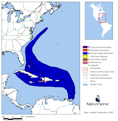 Pterodroma hasitata map