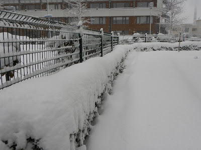 Sneeuw Zoetermeer