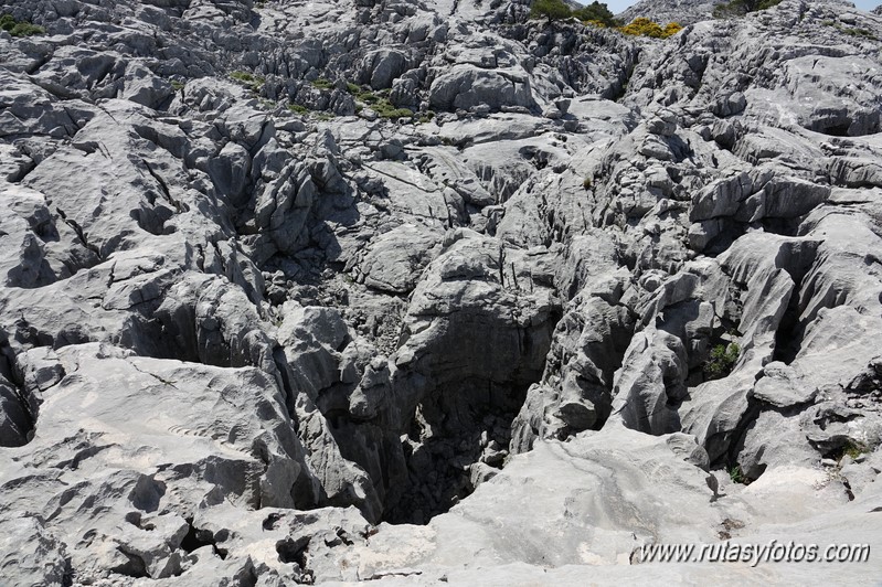 Nueve picos de la Sierra del Endrinal