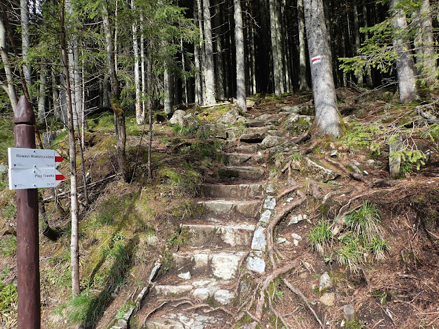 Połączenie szlaku z Cyrhli i asfaltówki na Morskie Oko