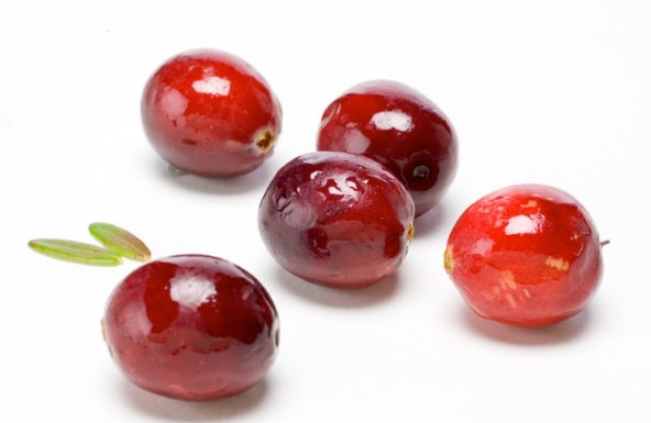 buah cranberry