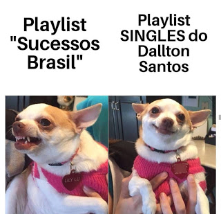 guitar memes, cachorro,cão, meme, guitarristas do brasil