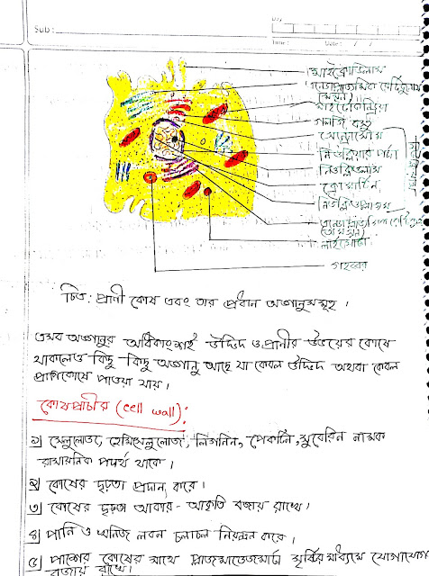 SSC Biology Chapter 2 Hand Note