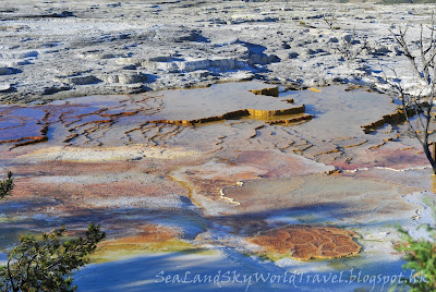 黃石國家公園, Mammoth Hot Springs, yellowstone national park