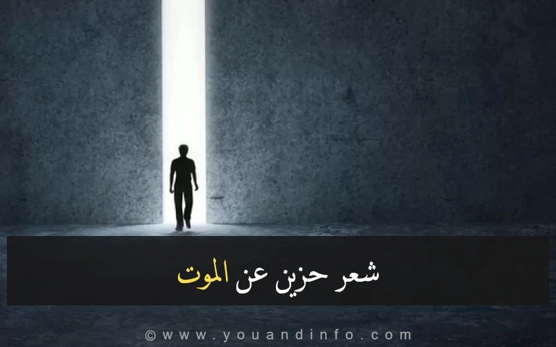 أجمل وأقوى أبيات الشعر الحزينة عن الموت، شعر حزين عن موت الأحبة