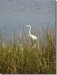 IMG_1127