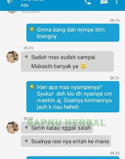 Penyebab Radang Batu Empedu & Obat Radang Batu Empedu Alami