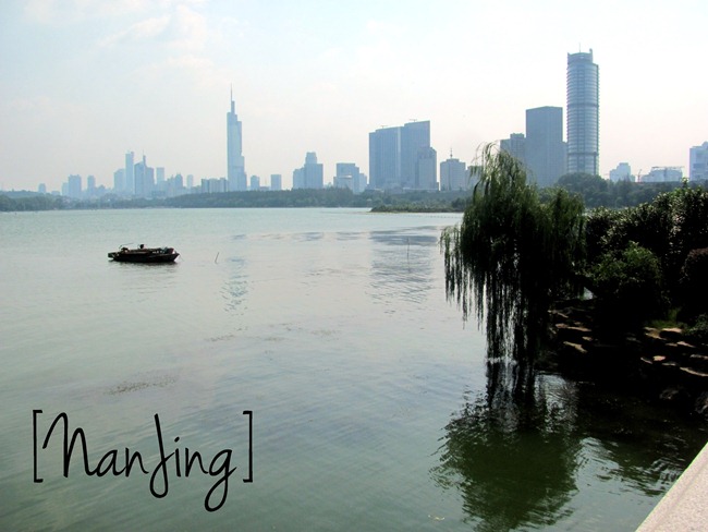 IMG_3465 IMG_3465