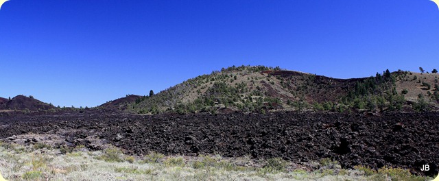 IMG_3763 IMG_3763