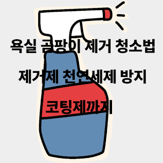 욕실 곰팡이 제거 청소법부터 제거제·천연세제·방지 코팅제까지