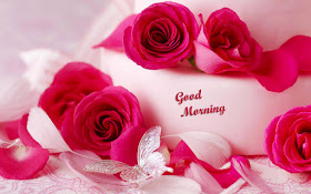 Romantic-Roses-good-morning-hd-wallpapers