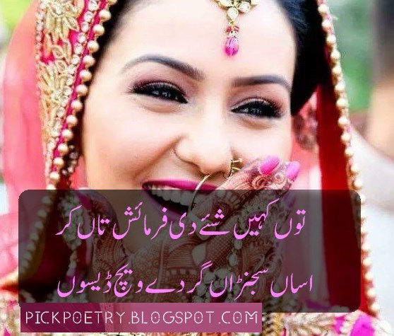 saraiki poetry on facebook