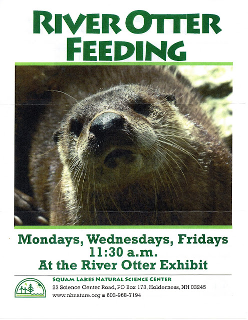 Join the River Otter Feeding | posted 5-9-17