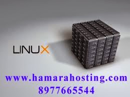  Linux Web Hosting