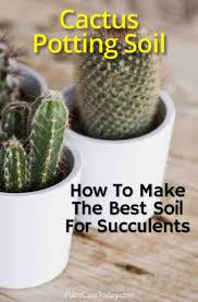 Related searches, View 5+ more, How to repot succulents, How to repot Aloe Vera, How to repot a jade plant, How to repot a Snake pl..., How to repot bamboo, How to repot a spider pla..., How to repot a Peace lily, Related search, Succulent cactus types, View 3+ more, San Pedro cactus, Schlumbergera, Mammillaria, Golden barrel cactus, Prickly pear, Astrophytum, Ferocactus,   how to repot a cactus, how to repot a cactus without hurting yourself, repotting cactus cutting, how to repot a christmas cactus, how to replant a broken cactus, how to replant cactus cuttings, how to repot succulents and cacti, how to propagate cactus, repotting saguaro cactus