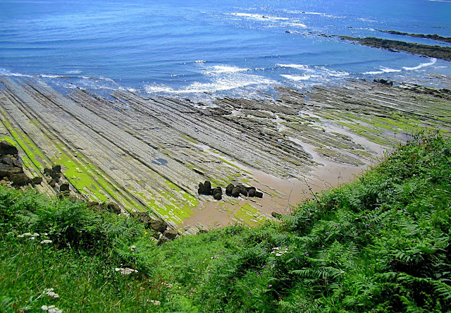 Playas Cabo de Oyambre