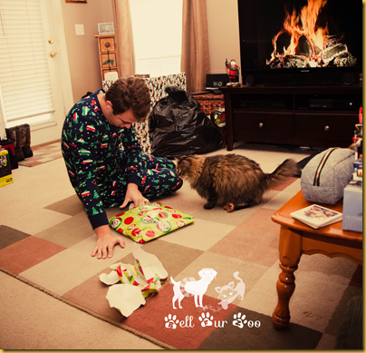 Bell Fur Zoo Christmas (Copyright Jenny@Bell Fur Zoo)