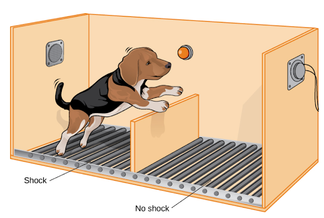 Drawing of a dog jumping an obstacle in the experiment of Seligman