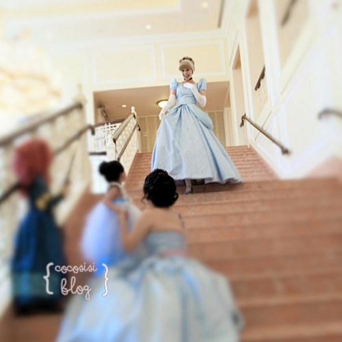 IMG_5036-2012-07-19-22-48.jpg