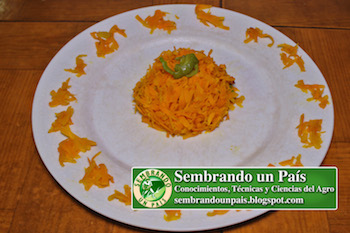 receta de zanahorias ralladas