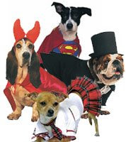 halloween costumes for pets