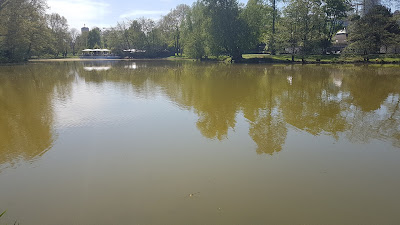 parco con lago