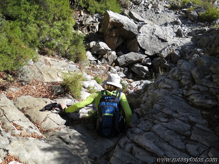 Pinarillo - Navachica - Barranco de los Cazadores