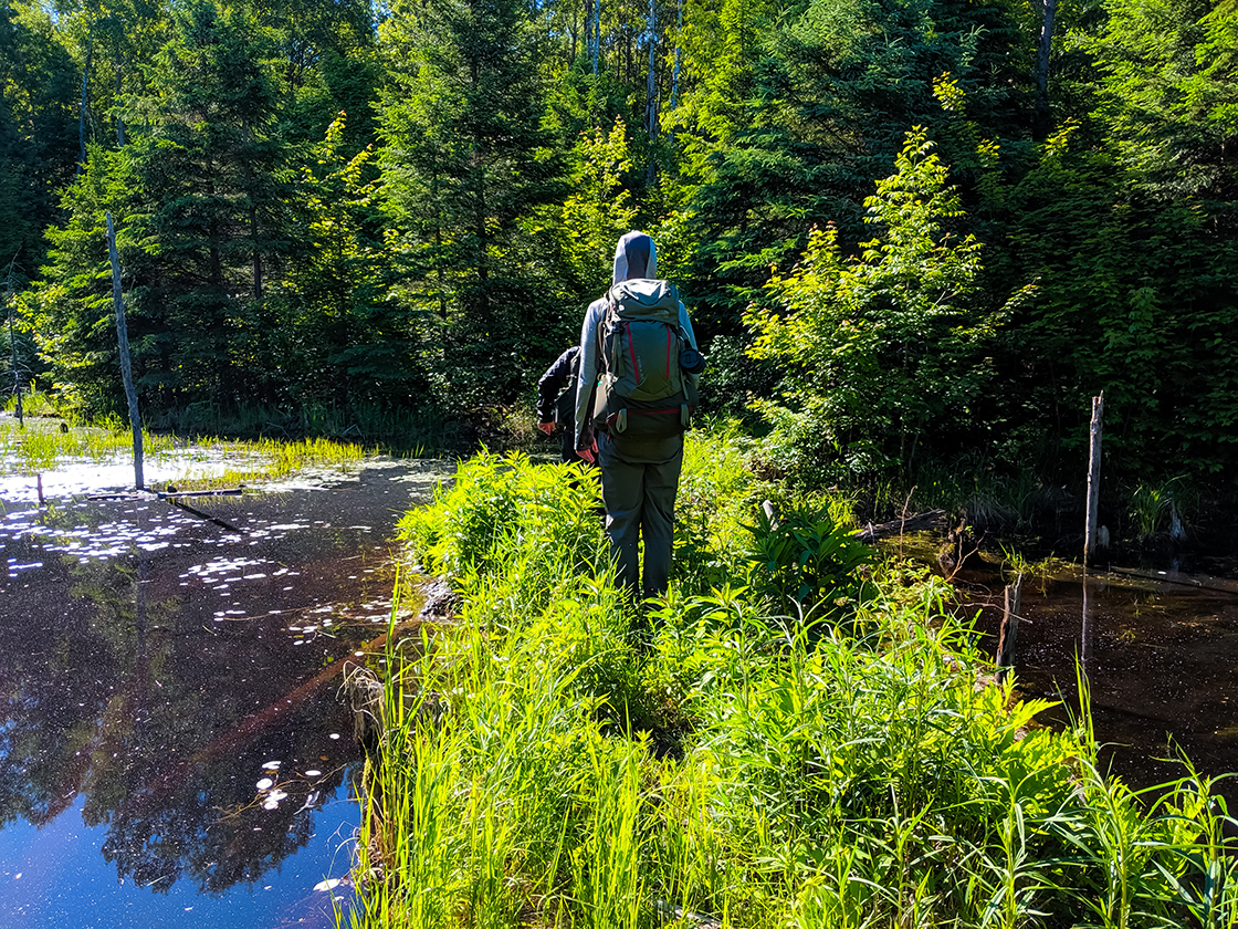 Crossing a Beaver Dam on the NCT Porcupine Wilderness Section