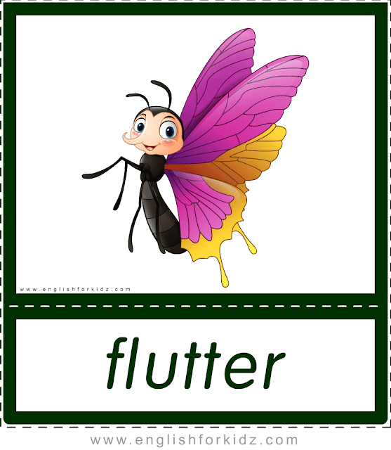 Verb flutter (butterfly) - printable animal actions flashcards for English learners