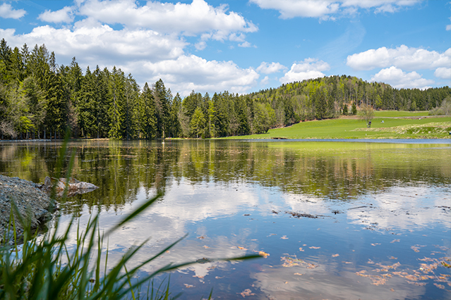 Rundweg Steinforelle | Wanderung Spiegelau – Steinklamm – Stausee-Großarmschlag | Bayerischer Wald