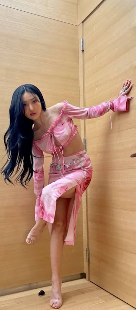 Jul 23rd '95 Ahn Hye-Jin (안혜진; born July 23, 1995), better known by her stage name Hwasa (화사), is a South Korean singer, rapper, songwriter, and the youngest member of the Kpop girl group Mamamoo under RBW. She made her debut with Mamamoo in June 2014.