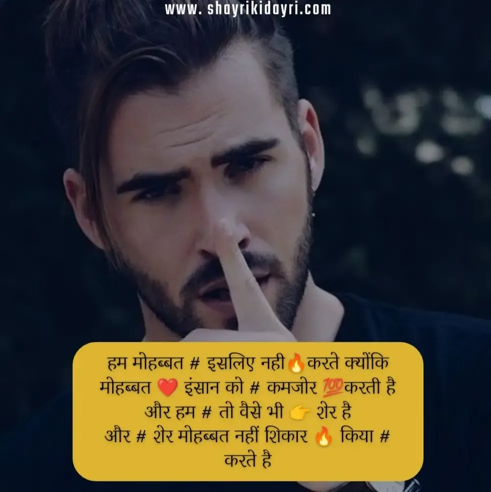 No Love Shayari, status & quotes in Hindi - नो लव शायरी