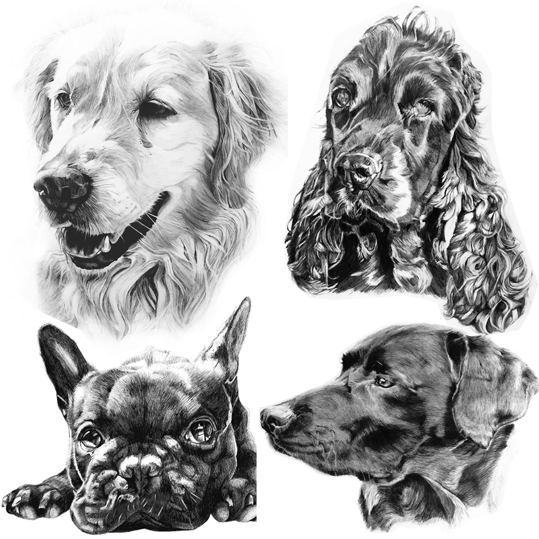 Why not immortalise your beloved canine s individuality with a custom pet portrait by Sydney based designer and illustrator Danielle Fossati