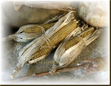 Chennile Corn