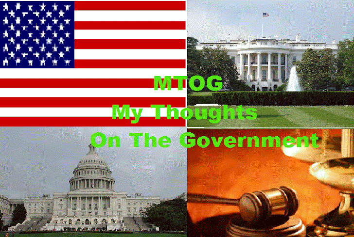 MTOG: My Thoughts On The Government