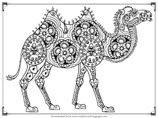 free printable camel coloring pages for adults